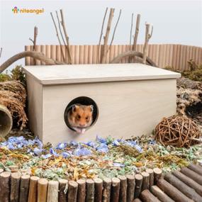 img 3 attached to 🏠 Niteangel Birch Chamber-Maze Hamster Hideout: Woodland House Decor for Small Pets – Ideal Habitats for Hamsters, Mice, Gerbils, and More