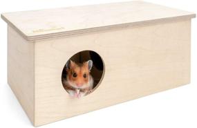 img 4 attached to 🏠 Niteangel Birch Chamber-Maze Hamster Hideout: Woodland House Decor for Small Pets – Ideal Habitats for Hamsters, Mice, Gerbils, and More
