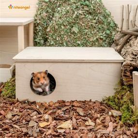 img 2 attached to 🏠 Niteangel Birch Chamber-Maze Hamster Hideout: Woodland House Decor for Small Pets – Ideal Habitats for Hamsters, Mice, Gerbils, and More