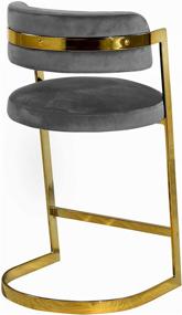 img 3 attached to 🪑 Stephanie Collection Modern Velvet Upholstered Counter Stool - Grey, 20&#34; W x 22&#34; D x 39&#34; H with Rich Gold Stainless Steel Base by Meridian Furniture