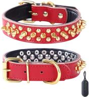 rachel products studded dog 14 2 18 1 логотип