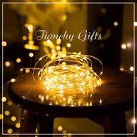 zipazoe 17ft waterproof battery operated led fairy lights: ideal for dorm bedroom, patio, home, christmas, wedding, holiday decor & summer party decorations логотип