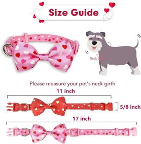 img 3 attached to 🐶 Pohshido 2-Pack Valentine's Heart Dog Collar with Bow Tie: Cute Holiday Collar for Small Dogs & Puppies