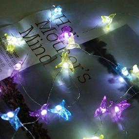 img 1 attached to 🌈 Vibrant 40 LED Hummingbird Fairy String Lights - Waterproof Battery Operated 8 Modes with Remote Control for Wedding, Party, Festival, Indoors & Outdoors