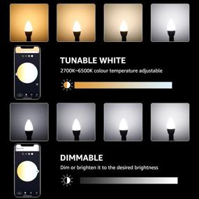 img 1 attached to Dimmable Equivalent Candelabra (2700K to 6500K) - Optimal for SEO