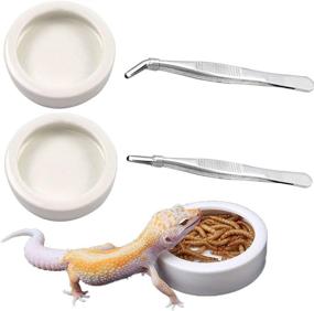 img 3 attached to 🦎 DSHE 4-Piece Reptile Bowls and Tweezers Set Terrarium Feeding Worm Dish + Mealworm Feeder Ceramic Bowl with Feeding Tweezers Tongs
