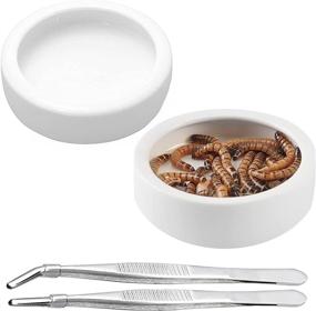 img 4 attached to 🦎 DSHE 4-Piece Reptile Bowls and Tweezers Set Terrarium Feeding Worm Dish + Mealworm Feeder Ceramic Bowl with Feeding Tweezers Tongs