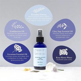 img 2 attached to Province Apothecary Invigorating Balancing Toner