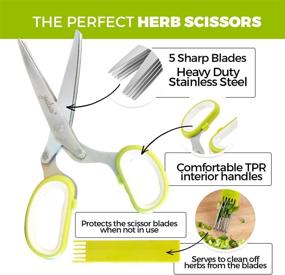 img 2 attached to 🌿 Jenaluca Herb Scissors with 5 Blades and Cover - The Ultimate Kitchen Tool for Effortless Fresh Herb Preparation