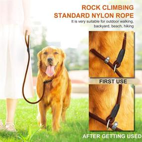 img 3 attached to 🐶 Durable and Waterproof Slip Lead Dog Leash for Small Medium Large Dogs - Brown