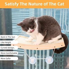 img 1 attached to 🐱 Lahas Cat Window Perch Hammock Seat - Space Saving Bed for Cats | Mountable Window Cat Bed | Hanging Resting Bed | 360° Sunbath | Easy Assembly