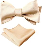 alizeal solid self tied handkerchief champagne men's accessory – perfect for ties, cummerbunds & pocket squares logo