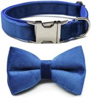🐶 cute dog collar bow bowtie: detachable metal buckle, comfortable fit for small medium large dogs - velvet blue m логотип