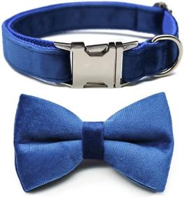 img 4 attached to 🐶 Cute Dog Collar Bow Bowtie: Detachable Metal Buckle, Comfortable Fit for Small Medium Large Dogs - Velvet Blue M