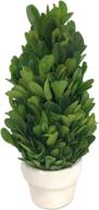 🍃 cocomia preserved boxwood tree: natural indoor greenery, simple care - small pot, 2.4”wx2.4”dx6.3”h логотип