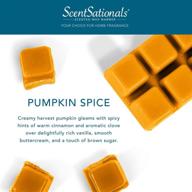 🎃 scentsationals scented wax fragrance melts - pumpkin spice - 2.5 oz (4-pack): wickless candle bar air freshener for home spa aroma decor логотип