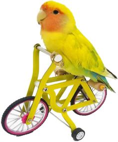 img 3 attached to 🧩 Enhance Bird's Intelligence with QBLEEV Parrot Puzzle Bicycle Toy for Training and Education