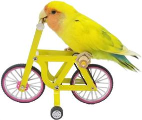 img 4 attached to 🧩 Enhance Bird's Intelligence with QBLEEV Parrot Puzzle Bicycle Toy for Training and Education