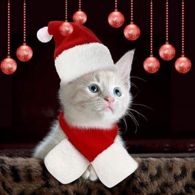 img 1 attached to 🎅 Набор из 3 шт. кот Santa Hat с шарфом SATINIOR: Праздничный костюм для домашних животных на Рождество и Новый год