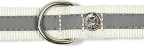 img 1 attached to Optimized SEO: Martha Stewart Classic Dog Leash with Webbing Overlay