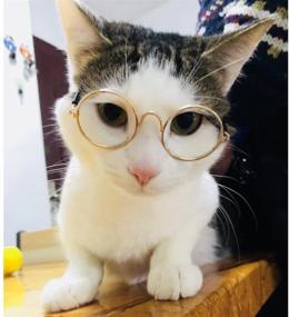 img 2 attached to Retro Fashion Sunglasses for Dogs and Cats, Stock Show Funny Cute Transparent Eye-Wear for Pet Photos, Props, and Cosplay Glasses, Providing Eye Protection for Small Pets, Perfect for Teachers, Bachelors, and Pet Lovers