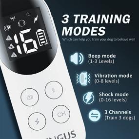 img 3 attached to 🐶 Rechargeable IP68 Waterproof Dog Training Collar with Remote - 3 Modes Beep, Vibration, Shock - 1000Ft Range - E-Collar for Small, Medium, Large Dogs