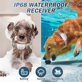 img 1 attached to 🐶 Rechargeable IP68 Waterproof Dog Training Collar with Remote - 3 Modes Beep, Vibration, Shock - 1000Ft Range - E-Collar for Small, Medium, Large Dogs