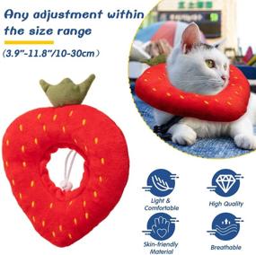 img 2 attached to Comfortable Adjustable Cat Recovery Collar: Soft Elizabeth E-Collar for Kitten & Cat - 2 Pieces