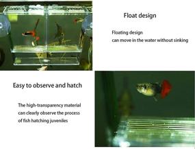 img 2 attached to KIEYYRYT Fish Breeding Box Tank for Newborn Fry Shrimp Guppy Clownfish Aggressive Fish – Medium: Hatchery Incubator Aquarium Isolation Box