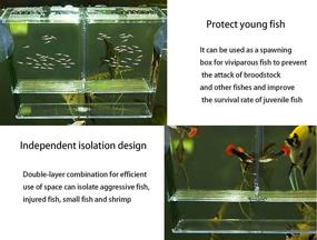 img 3 attached to KIEYYRYT Fish Breeding Box Tank for Newborn Fry Shrimp Guppy Clownfish Aggressive Fish – Medium: Hatchery Incubator Aquarium Isolation Box