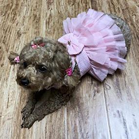 img 1 attached to 🐾 Petea Pet Clothes: Adorable Bowknot Princess Dress for Small Dogs and Cats