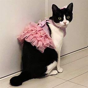 img 3 attached to 🐾 Petea Pet Clothes: Adorable Bowknot Princess Dress for Small Dogs and Cats