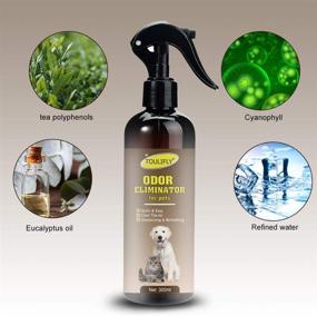 img 3 attached to Advanced Pet Odor Eliminator & Stain Remover Spray for Dogs and Cats - Quick, Easy & Effective (300ml)