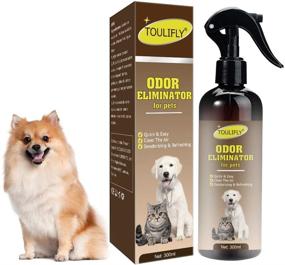 img 4 attached to Advanced Pet Odor Eliminator & Stain Remover Spray for Dogs and Cats - Quick, Easy & Effective (300ml)