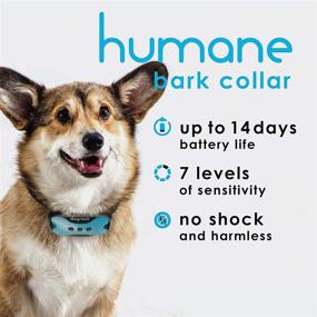 img 1 attached to 🐶 DogRook Humane Rechargeable Bark Collar - Vibration & Beep Modes - Small, Medium, Large Dogs - No Remote Needed