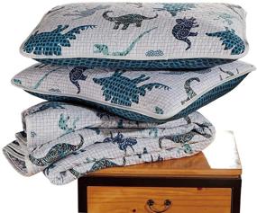 img 1 attached to Queen Quilted Bedspread Dinosaurs Kingdom