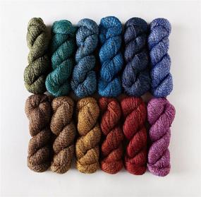 img 2 attached to 🍭 Discover Knit Picks Provincial Tweed: Candy Apple, Worsted Weight Superwash Fine Highland Wool