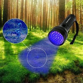 img 2 attached to Vansky 2021 Upgraded Black Light UV Flashlight with 51 LEDs - Ultimate Pet Urine Detector for Dog/Cat Urine, Dry Stains & Bed Bugs - Includes Batteries & Pet Odor Eliminator