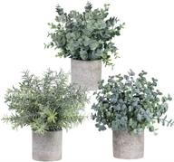 🌿 enhance home and office decor with winlyn set of 3 mini potted artificial eucalyptus plants - lifelike fake green rosemary plant for desk, shower room logo