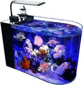 img 4 attached to 🐠 GankPike 12 Gallon Saltwater Aquarium Full Bullnose Shape Ultra Clear Glass Marine Fish Tank with Lid, Protein Skimmer, LED Light, Heater, LCD Digital Thermometer, and Pump – Perfect for Reef Tank Enclosure