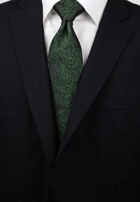 img 1 attached to 👔 Bows N Ties Vibrant Paisley Microfiber Necktie: Men's Accessories for Ties, Cummerbunds & Pocket Squares