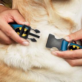 img 2 attached to 🐶 Buckle-Down Dog Collar Plastic Clip Bat Signal 3: Blue, Black, Yellow Options with Adjustable Sizes for Small, Medium, and Large Dogs - Enhance Your Pet's Style and Safety!