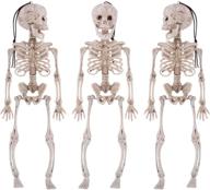 tslive украшения в виде скелетов на хэллоуин skeletons логотип
