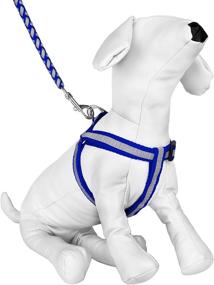 img 4 attached to 🐾 CueCue Pet Reflective Choke-Free Harness and Leash Set: Braided Design