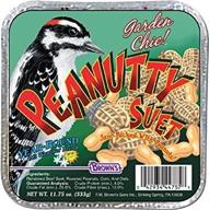 🥜 f.m. brown's garden chic peanutty suet and bread cakes - 11-3/4-ounce logo