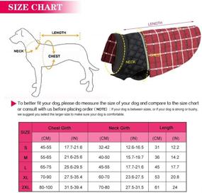 img 1 attached to Stay Warm All Winter: Reversible Waterproof Dog Jacket Coats for Small Medium Large Dogs