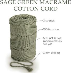 img 3 attached to 3mm x 147 yd. Macrame Cord in Sage Green Cotton Rope - Ideal for Handmade Decorations, Macrame Wall Art, Plant Hangers, Dream Catchers - Craft Macrame Supplier - 3 Strand Twisted Colored Cotton String