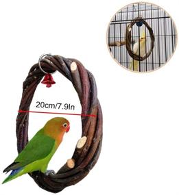 img 2 attached to 🐦 Enhance Bird Habitat with kathson Bird Perches: Natural Fruit Wood Circle Ring Parakeet Perch Stand Platform Cage Accessories for Parrots, Budgies, Conures, Finches - Set of 3 Swing Toys for Fun Exercise