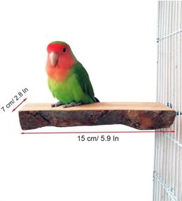img 3 attached to 🐦 Enhance Bird Habitat with kathson Bird Perches: Natural Fruit Wood Circle Ring Parakeet Perch Stand Platform Cage Accessories for Parrots, Budgies, Conures, Finches - Set of 3 Swing Toys for Fun Exercise