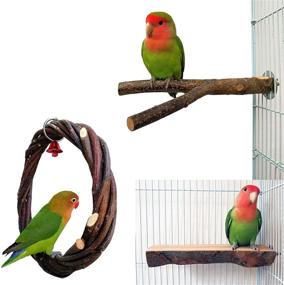 img 4 attached to 🐦 Enhance Bird Habitat with kathson Bird Perches: Natural Fruit Wood Circle Ring Parakeet Perch Stand Platform Cage Accessories for Parrots, Budgies, Conures, Finches - Set of 3 Swing Toys for Fun Exercise